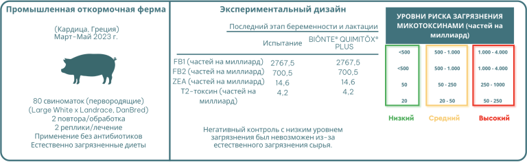 Рисунок 1. Экспериментальный дизайн двух тестов.